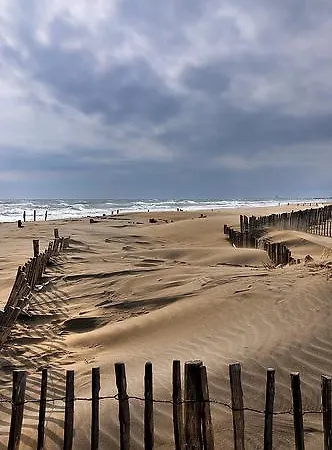 Les Au Bord De